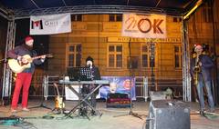 Morsy, zumba i muzyka, czyli drugi dzień świątecznego jarmarku (link otworzy duże zdjęcie)