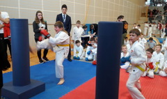 15 medali karateków Inochi Gniezno (link otworzy duże zdjęcie)
