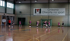 SP 12 Mistrzem Gniezna w piłce ręcznej (link otworzy duże zdjęcie)