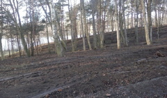 (link otworzy duże zdjęcie)