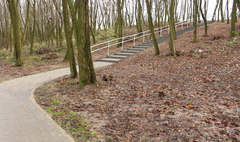 (link otworzy duże zdjęcie)