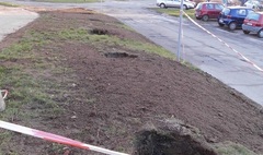 Zdjęcie nasadzeń drzew na Winiarach (link otworzy duże zdjęcie)