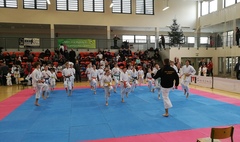 Puchar Wielkopolski w karate tradycyjnym (link otworzy duże zdjęcie)