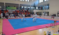Puchar Wielkopolski w karate tradycyjnym (link otworzy duże zdjęcie)