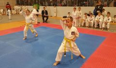 8 medali zawodników GKK Yoshitaka Dojo (link otworzy duże zdjęcie)