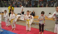 8 medali zawodników GKK Yoshitaka Dojo (link otworzy duże zdjęcie)