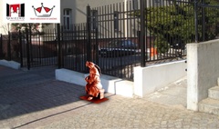 (link otworzy duże zdjęcie)