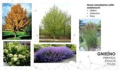 Rewitalizacja Parku Trzech Kultur już wkrótce (link otworzy duże zdjęcie)