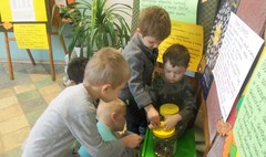 Podsumowanie akcji „Góra Grosza