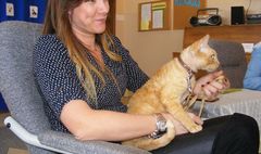 Koci świat w literaturze (link otworzy duże zdjęcie)