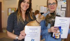 Koci świat w literaturze (link otworzy duże zdjęcie)