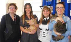 Koci świat w literaturze (link otworzy duże zdjęcie)