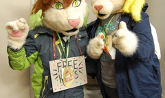 (link otworzy duże zdjęcie)