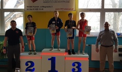 15 medali Husarza (link otworzy duże zdjęcie)