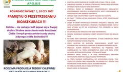 Zagrożenie wystąpieniem afrykańskiego pomoru świń