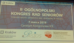 Gnieźnianie na Kongresie Rad Seniorów (link otworzy duże zdjęcie)