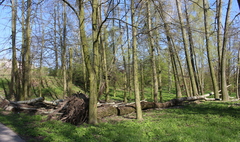 Ponad 180 tysięcy złotych dotacji na dwa gnieźnieńskie parki