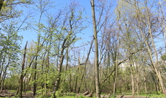 Ponad 180 tysięcy złotych dotacji na dwa gnieźnieńskie parki (link otworzy duże zdjęcie)