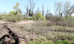 Ponad 180 tysięcy złotych dotacji na dwa gnieźnieńskie parki (link otworzy duże zdjęcie)