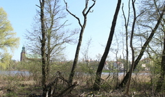 Ponad 180 tysięcy złotych dotacji na dwa gnieźnieńskie parki (link otworzy duże zdjęcie)