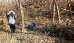 Niezwykła sesja fotograficzna (link otworzy duże zdjęcie)