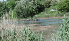 Podkaszanie rdestnicy kędzierzawej na jeziorze Winiary (link otworzy duże zdjęcie)