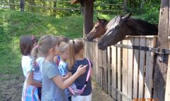 Już dziś zapisz się na najlepsze półkolonie w mieście
