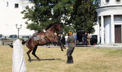 Rozpoczęcie rajdu szlakiem 3. Pułku Ułanów Wielkopolskich (link otworzy duże zdjęcie)
