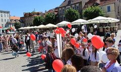IX Ogólnopolski Zlot Szkół im. Powstańców Wielkopolskich (link otworzy duże zdjęcie)
