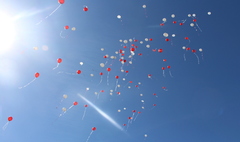 IX Ogólnopolski Zlot Szkół im. Powstańców Wielkopolskich (link otworzy duże zdjęcie)