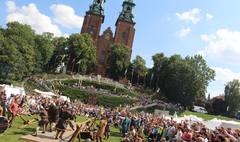 (link otworzy duże zdjęcie)