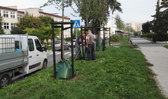 (link otworzy duże zdjęcie)