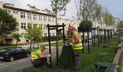 (link otworzy duże zdjęcie)