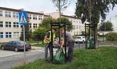 (link otworzy duże zdjęcie)