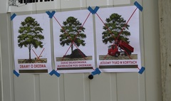 Trwa rewitalizacja Parku Trzech Kultur (link otworzy duże zdjęcie)