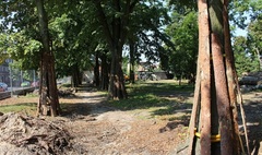 Trwa rewitalizacja Parku Trzech Kultur (link otworzy duże zdjęcie)