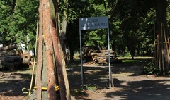 Trwa rewitalizacja Parku Trzech Kultur (link otworzy duże zdjęcie)