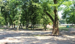 Trwa rewitalizacja Parku Trzech Kultur (link otworzy duże zdjęcie)