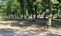 Trwa rewitalizacja Parku Trzech Kultur (link otworzy duże zdjęcie)