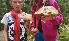 Socjoterapia i wypoczynek w Górach Stołowych (link otworzy duże zdjęcie)