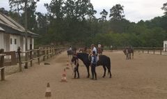 Moc atrakcji na półkoloniach GOSiR (link otworzy duże zdjęcie)