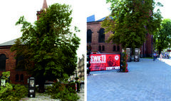 Rok po nawałnicy stulecia (link otworzy duże zdjęcie)