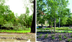 Rok po nawałnicy stulecia (link otworzy duże zdjęcie)