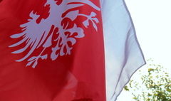 (link otworzy duże zdjęcie)