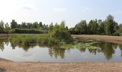 Pierwszy etap rewitalizacji oczka wodnego zakończony