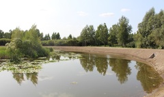 Pierwszy etap rewitalizacji oczka wodnego zakończony (link otworzy duże zdjęcie)