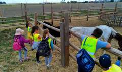 (link otworzy duże zdjęcie)