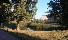 Rewitalizacja stawku na Winiarach