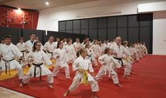 Seminarium Karate w Gnieźnie (link otworzy duże zdjęcie)