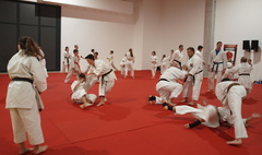 Seminarium Karate w Gnieźnie (link otworzy duże zdjęcie)